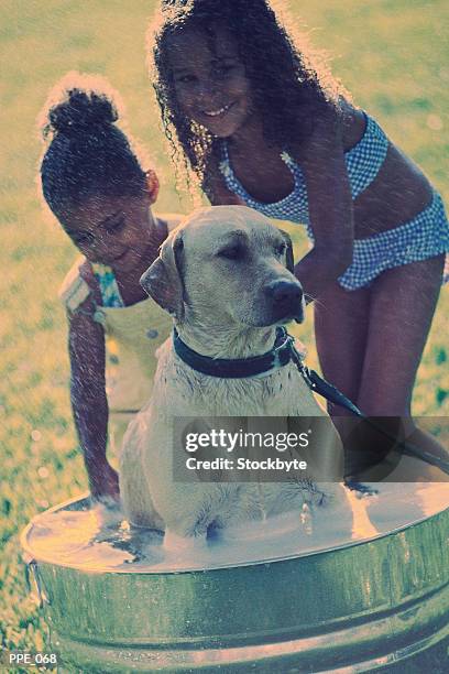 two girls washing dog in outdoor tub - washing tub stockfoto's en -beelden
