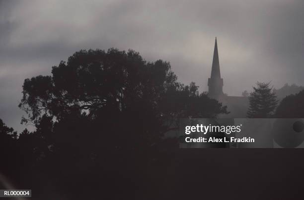 misty landscape with church spire in background - pinacée photos et images de collection