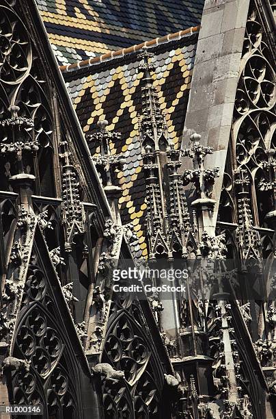 detail of st stephens cathedral - stephansplatz stock pictures, royalty-free photos & images