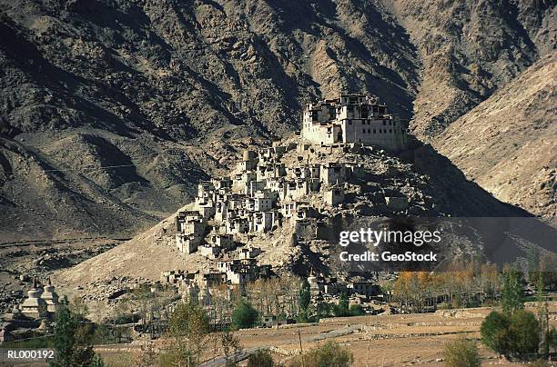 chemre gompa, ladakh - chemre fotografías e imágenes de stock