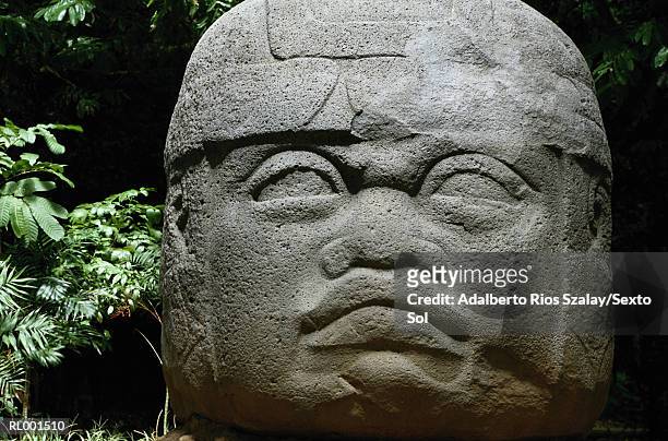 olmec head - venta stock pictures, royalty-free photos & images