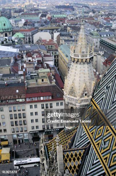 tower of st. stephen's cathedral, vienna - wiener innenstadt stock-fotos und bilder