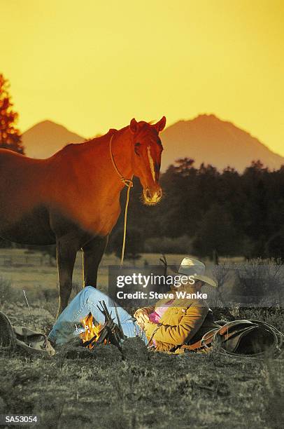 cowboy relaxing by campfire, dusk - animale da lavoro foto e immagini stock
