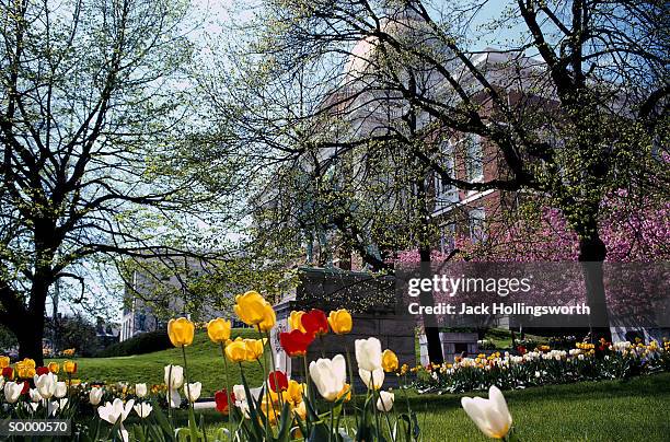 the state house gardens - boston, massachusetts - state stockfoto's en -beelden