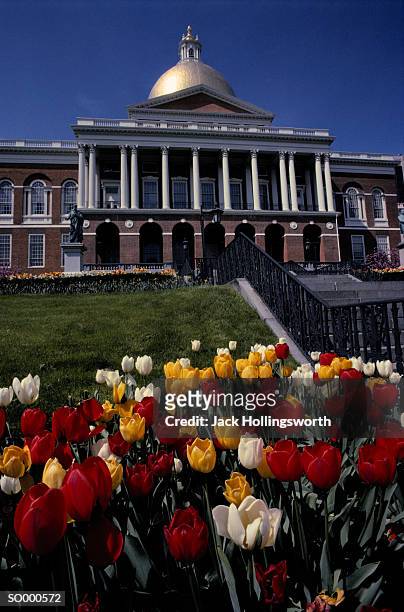 the state house - boston, massachusetts - temperate flower stockfoto's en -beelden