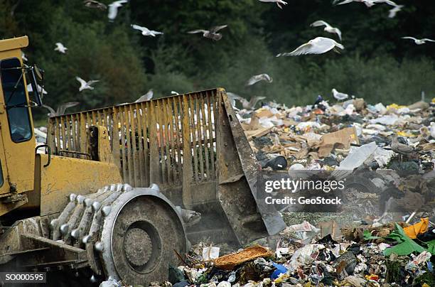 compactor burying garbage at landfill site - schrottpresse stock-fotos und bilder