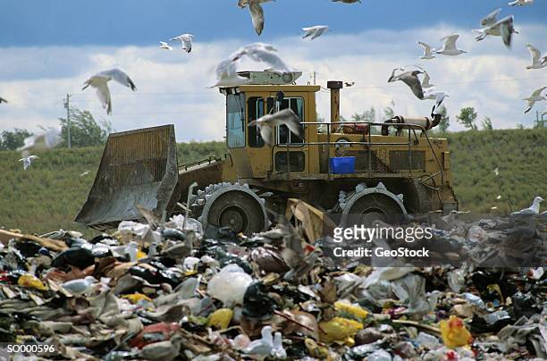 compactor burying garbage at landfill site - schrottpresse stock-fotos und bilder