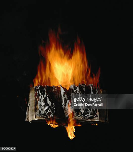 book burning - book burning stock pictures, royalty-free photos & images