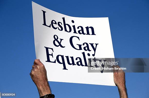 Gay Rights Movement Sign 247,997 Gay Stock Photos, High-Res Pictures, and Images - Getty Images