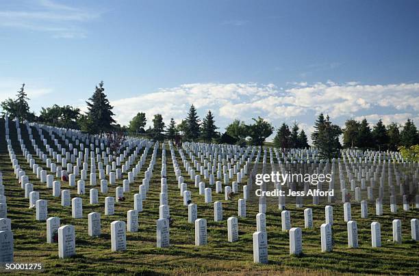 veterans memorial cemetery - veterans memorial cemetery stock pictures, royalty-free photos & images