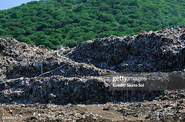 dump at cuernavaca - cuernavaca stockfoto's en -beelden