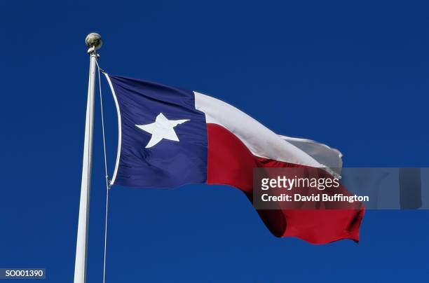 texas state flag - state stockfoto's en -beelden