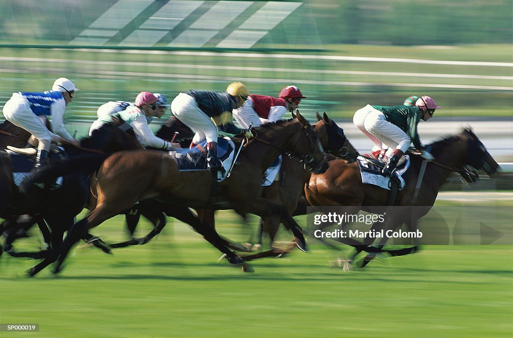 Horse race onturf, side view