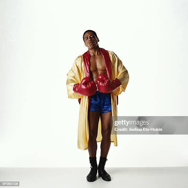 boxer - boksjas stockfoto's en -beelden
