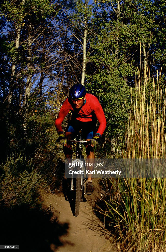 Man on Shadowy Trail on Mountain Bike