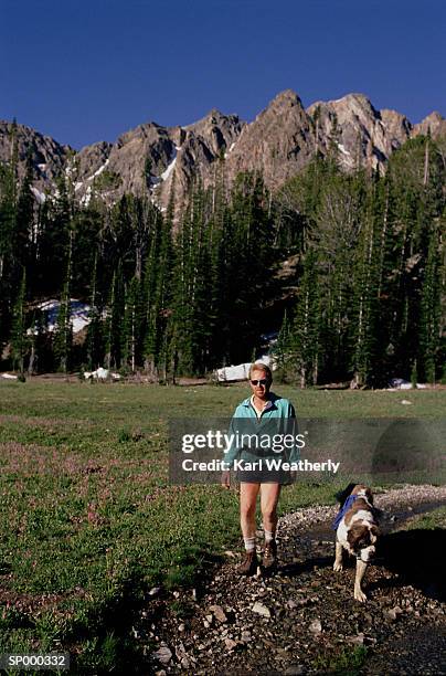 man and dog in nature - pinaceae stockfoto's en -beelden