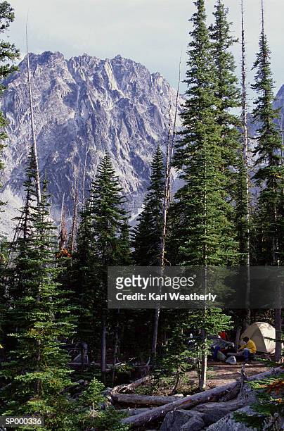 man camping in mountains - pinaceae stockfoto's en -beelden