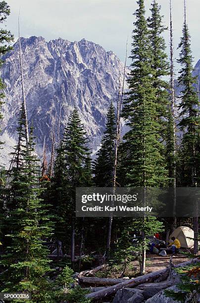 man camping in mountains - pinaceae - fotografias e filmes do acervo