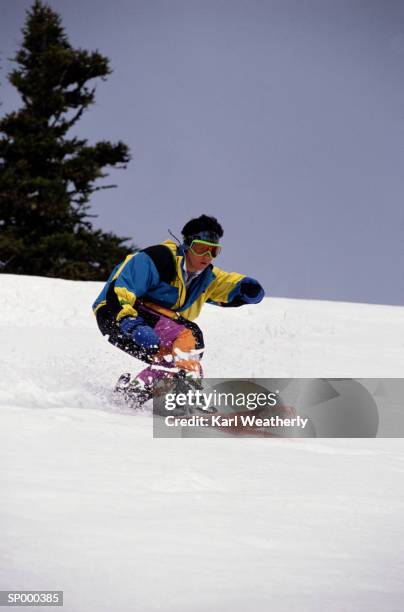 woman snowboarding - pinaceae - fotografias e filmes do acervo