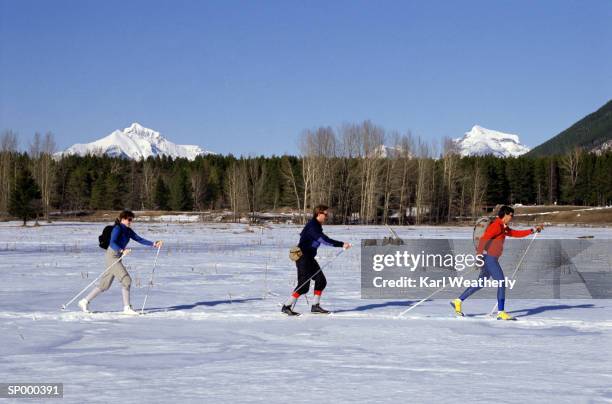 cross country skiing across a field - across stock pictures, royalty-free photos & images