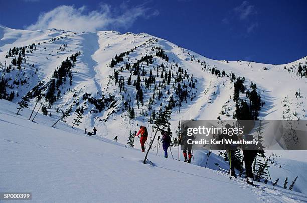 cross country skiing across mountains - across stock pictures, royalty-free photos & images