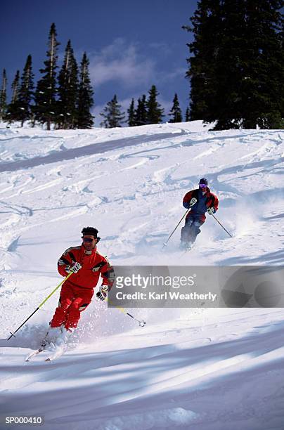 two men skiing - pinaceae stockfoto's en -beelden