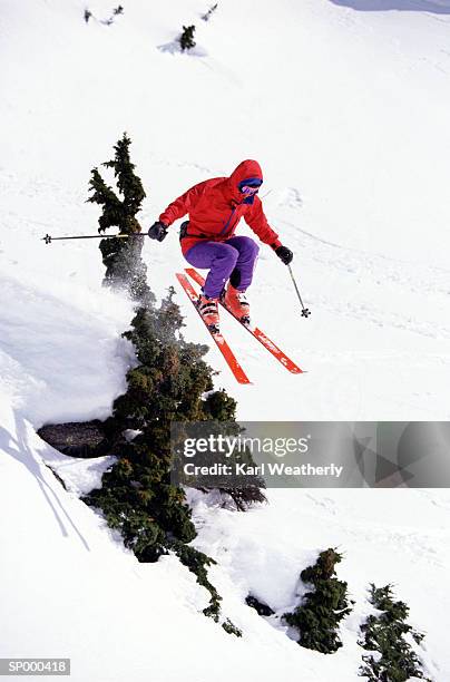 jumping while skiing - pinaceae stockfoto's en -beelden