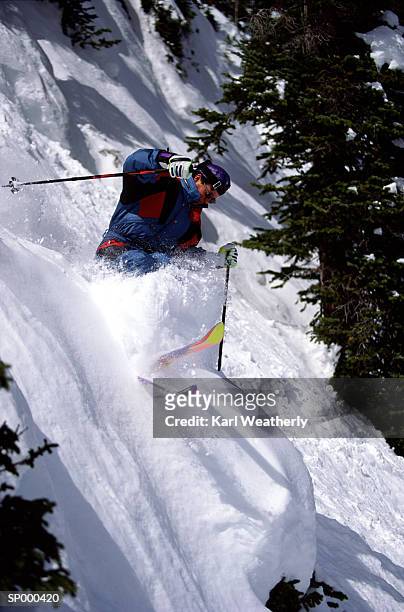 man on slopes - pinaceae stock pictures, royalty-free photos & images