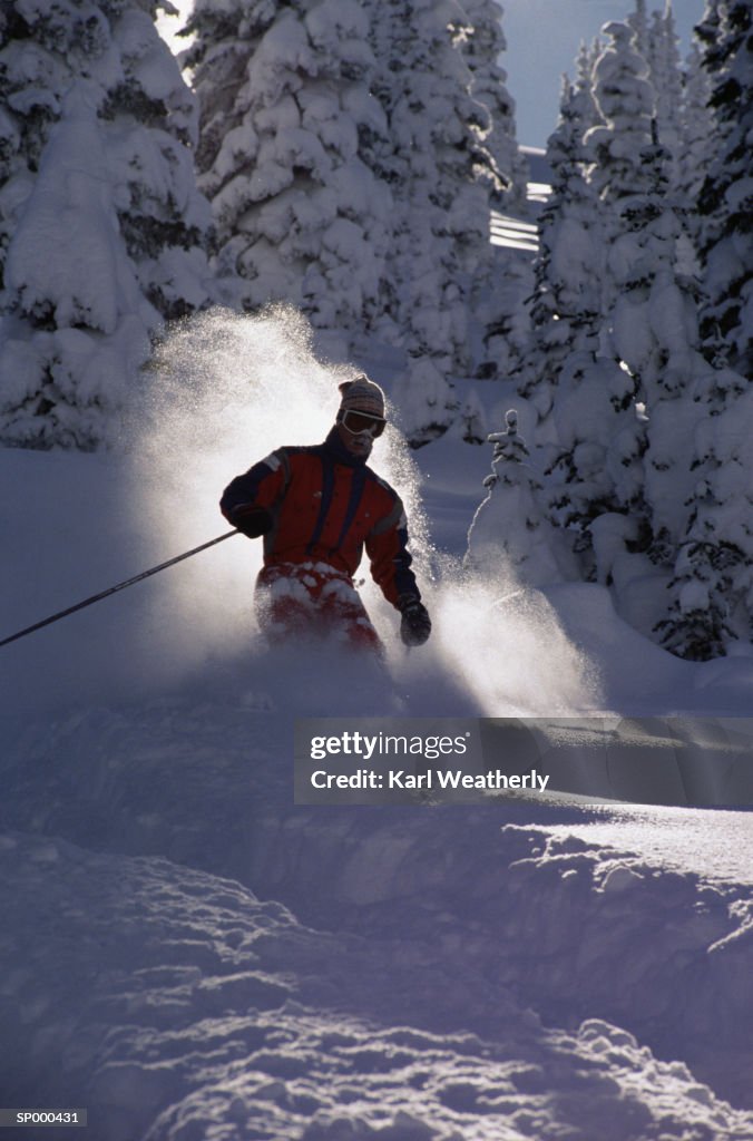 Skiing in Powder Through Trees