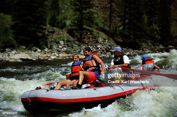 white water rafting - pinaceae stock pictures, royalty-free photos & images