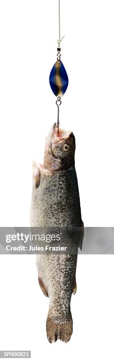 Hooked Fish Hooked Fish