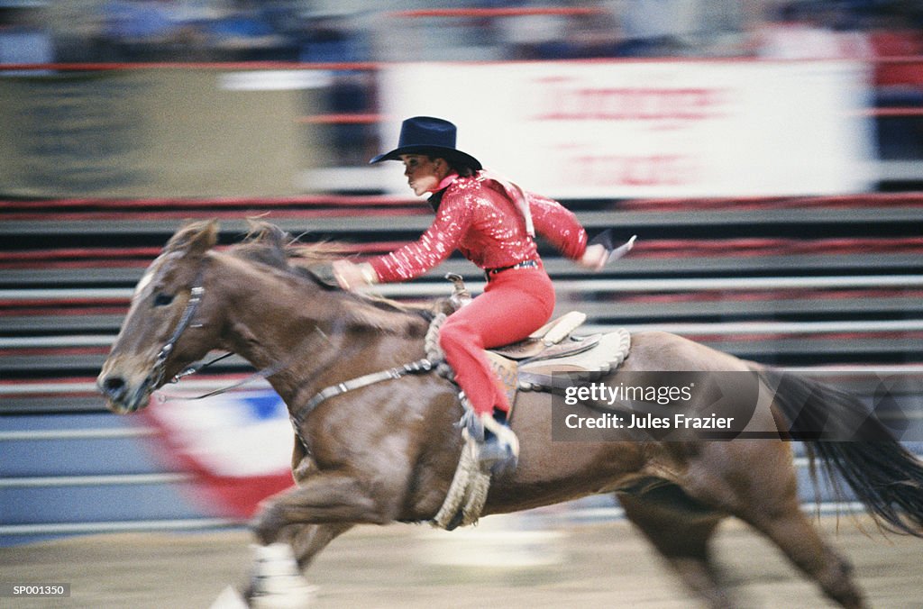 Cowgirl in the Rodeo