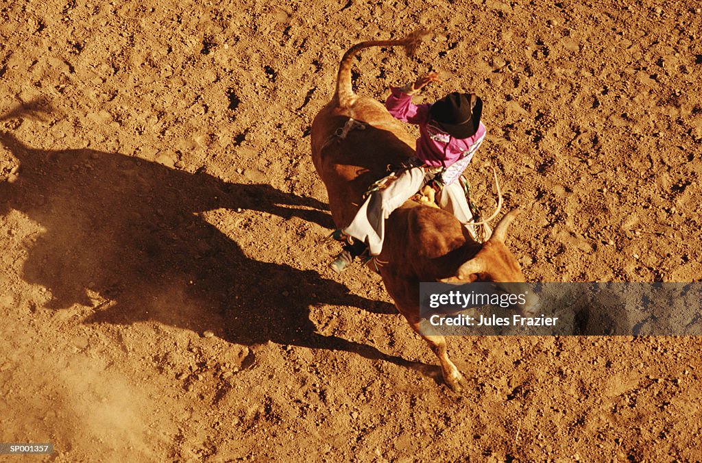 Above View of a Cowboy Riding a Bull
