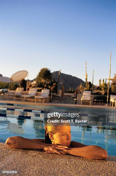 woman in swimming pool - scott stock pictures, royalty-free photos & images