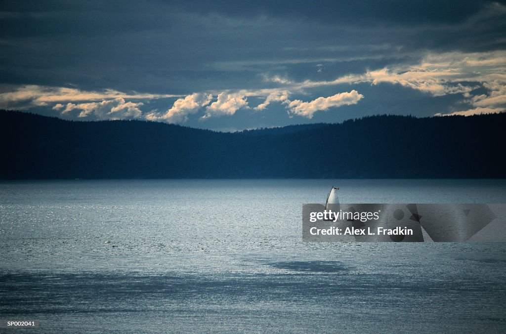 USA, Washington State, Puget Sound, boat sailing past San Juan Island