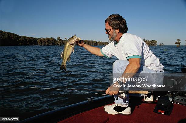 bass fisherman - abborrartade fiskar bildbanksfoton och bilder