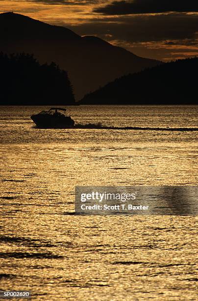 speed boat at sunset - scott stock pictures, royalty-free photos & images