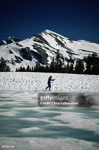 cross country skiing - chris cross stock pictures, royalty-free photos & images