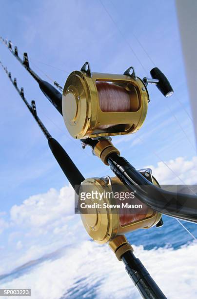 close-up of fishing rod - golden reel stock pictures, royalty-free photos & images