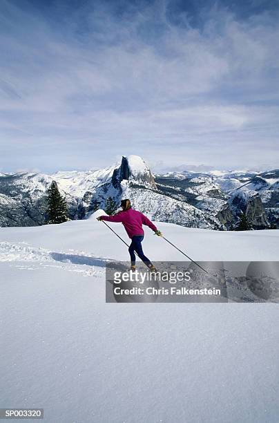 cross-country skiing - chris cross stock pictures, royalty-free photos & images