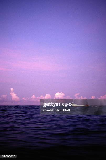 fishing off oaxaca, mexico - oaxaca state 個照片及圖片檔