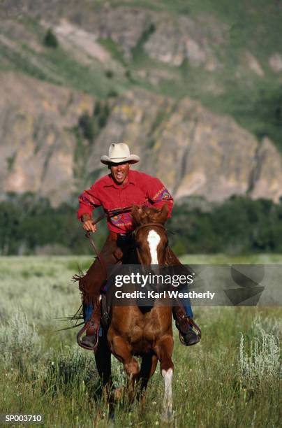 horseback riding - animale da lavoro foto e immagini stock