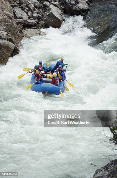 white water rafting - whitewater rafting stock pictures, royalty-free photos & images