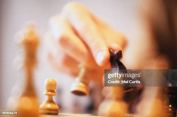 playing chess - curtis stockfoto's en -beelden