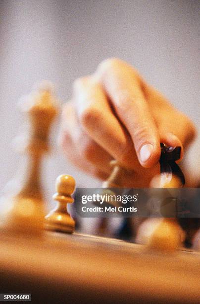 playing chess - mel stock pictures, royalty-free photos & images