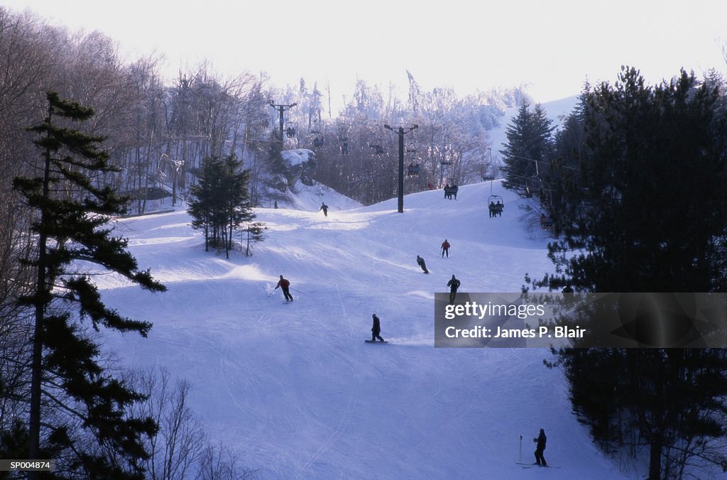Skiing in Ripton, Vermont