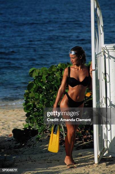 woman with flippers - lesser antilles foto e immagini stock