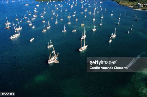 sailboats in st. martin lagoon - amanda and amanda fotografías e imágenes de stock