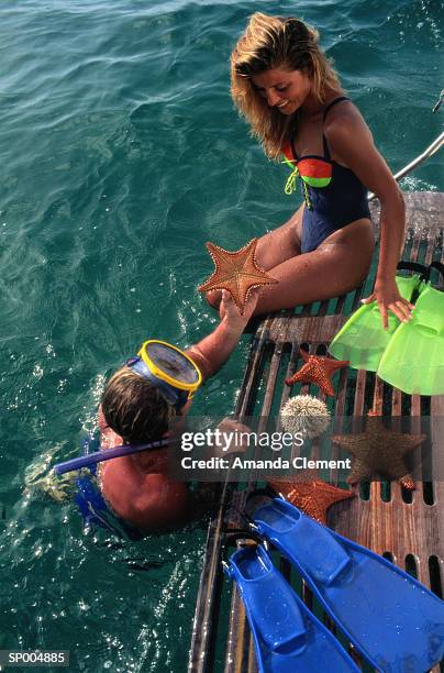 couple snorkeling for starfish - amanda blue stock pictures, royalty-free photos & images