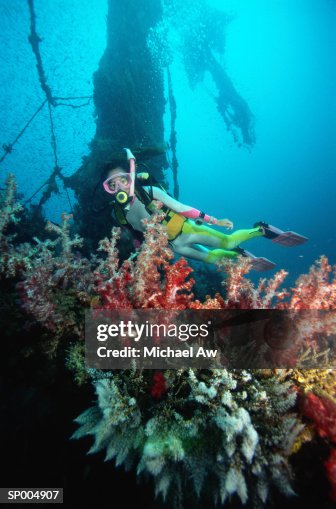 Woman Scuba Diving Woman Scuba Diving